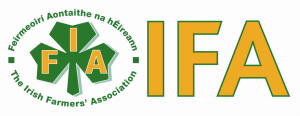IFA IE